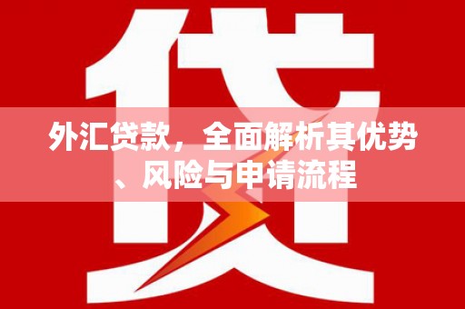 垦利外汇贷款，全面解析其优势、风险与申请流程