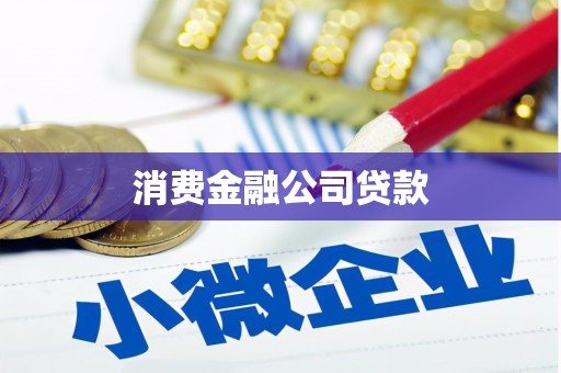 垦利消费金融公司贷款