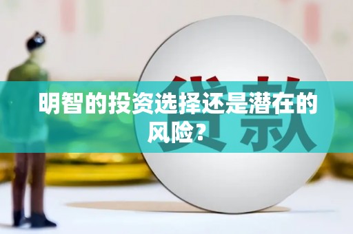 垦利明智的投资选择还是潜在的风险？