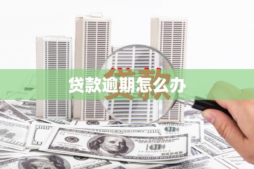 垦利贷款逾期怎么办