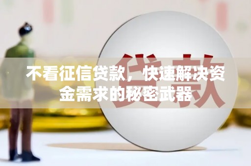 垦利不看征信贷款，快速解决资金需求的秘密武器