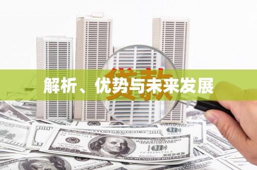 垦利解析、优势与未来发展