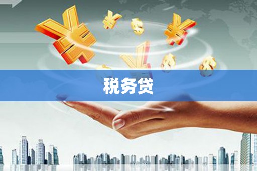 垦利税务贷