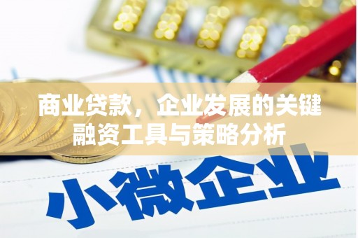 垦利商业贷款，企业发展的关键融资工具与策略分析
