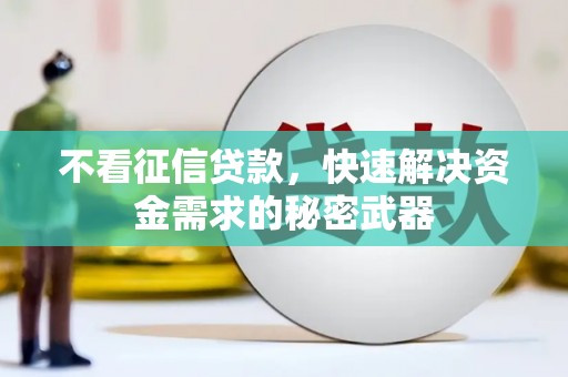垦利不看征信贷款，快速解决资金需求的秘密武器