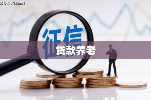 垦利贷款养老