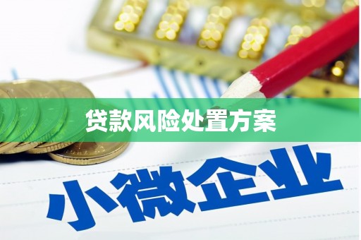 垦利贷款风险处置方案