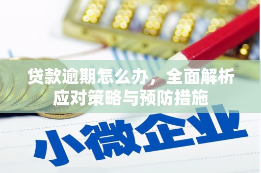 垦利贷款逾期怎么办，全面解析应对策略与预防措施