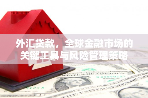 垦利外汇贷款，全球金融市场的关键工具与风险管理策略