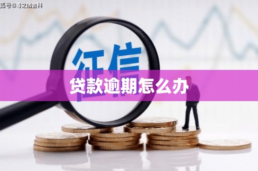 垦利贷款逾期怎么办