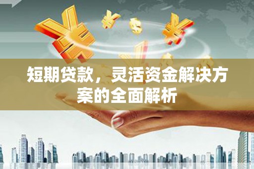 垦利短期贷款，灵活资金解决方案的全面解析