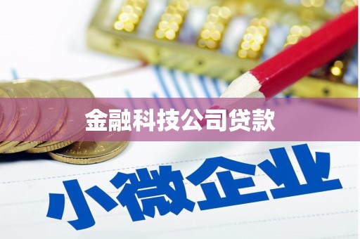 垦利金融科技公司贷款
