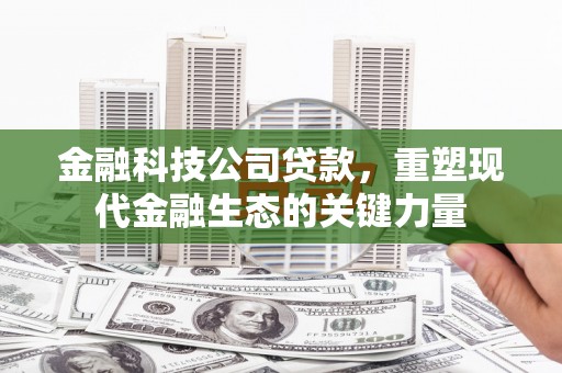 垦利金融科技公司贷款，重塑现代金融生态的关键力量