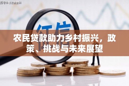 垦利农民贷款助力乡村振兴，政策、挑战与未来展望