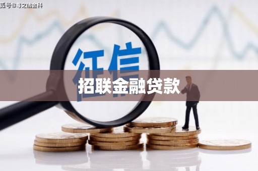 垦利招联金融贷款