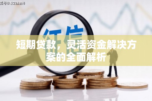 垦利短期贷款，灵活资金解决方案的全面解析