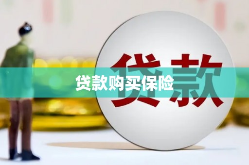 垦利贷款购买保险