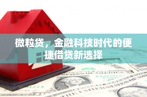 垦利微粒贷，金融科技时代的便捷借贷新选择