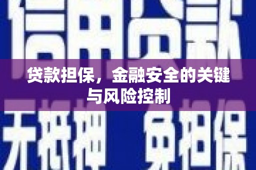垦利贷款担保，金融安全的关键与风险控制