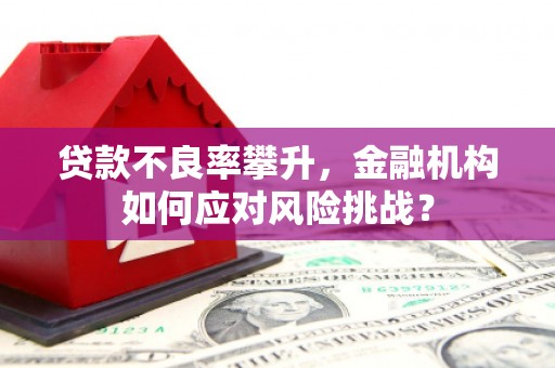 垦利贷款不良率攀升，金融机构如何应对风险挑战？