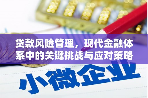 垦利贷款风险管理，现代金融体系中的关键挑战与应对策略