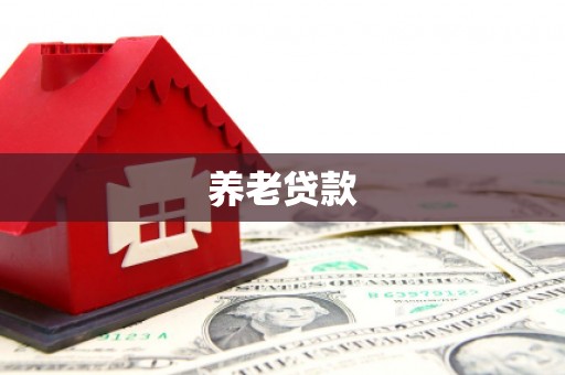 垦利养老贷款