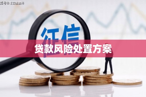 垦利贷款风险处置方案