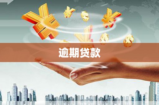 垦利逾期贷款